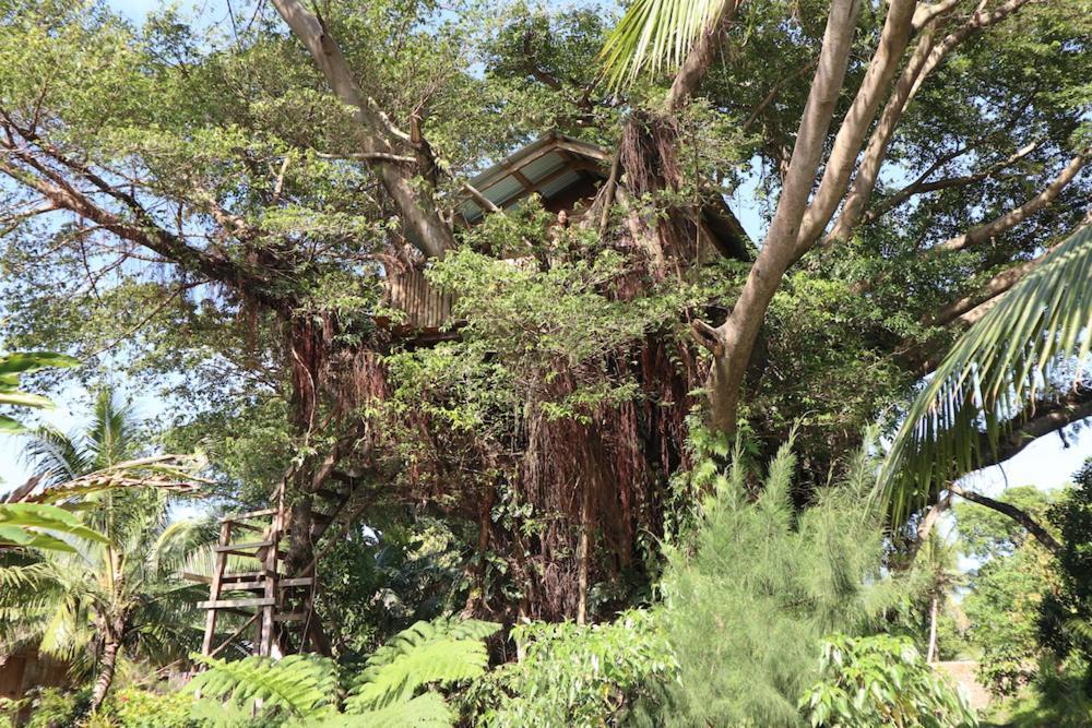 Castle Tree House And Bungalow White Sands المظهر الخارجي الصورة