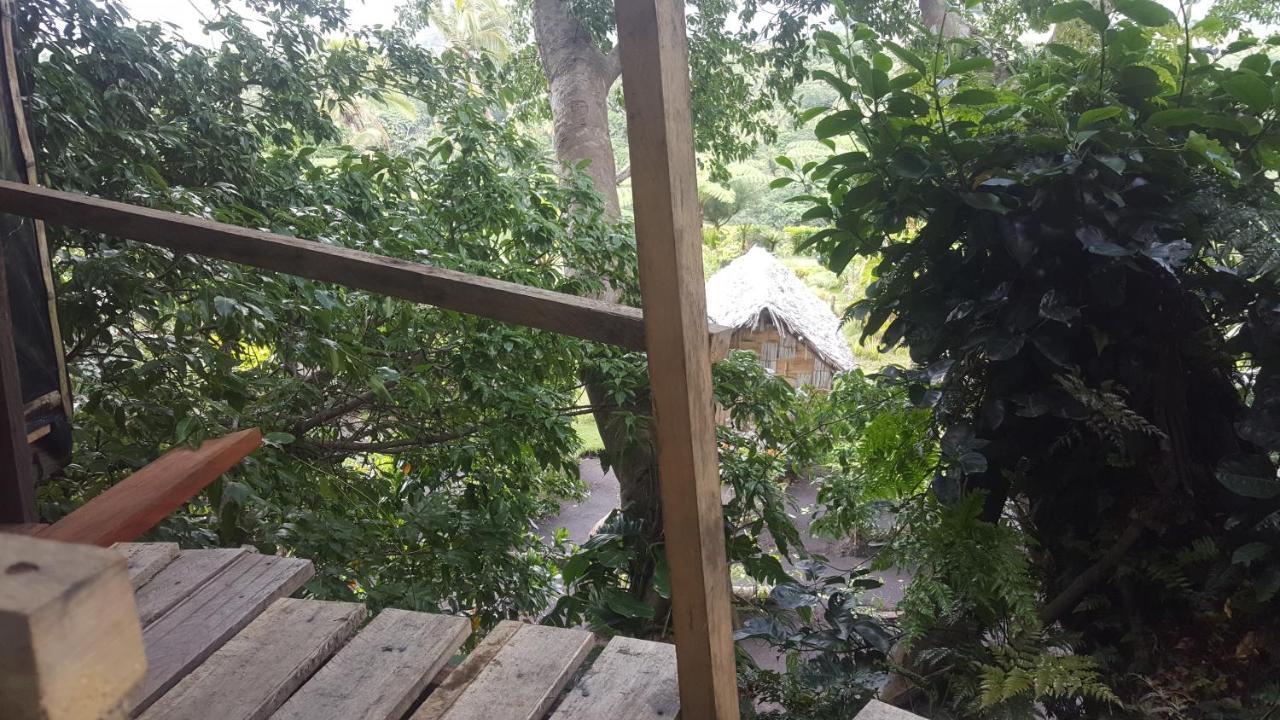 Castle Tree House And Bungalow White Sands المظهر الخارجي الصورة